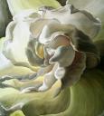 Creation by Lexi Sundell